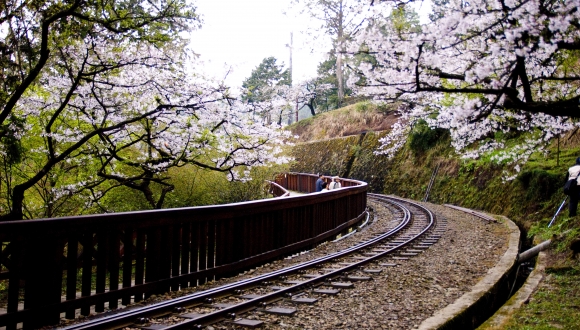 Alishan Tour